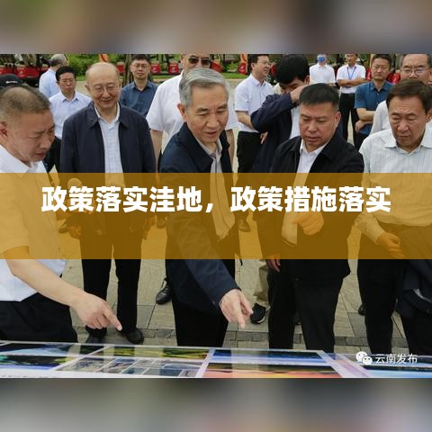 不求甚解