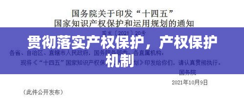 貫徹落實(shí)產(chǎn)權(quán)保護(hù)，產(chǎn)權(quán)保護(hù)機(jī)制 