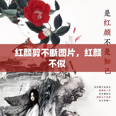 紅顏剪不斷圖片，紅顏不似 