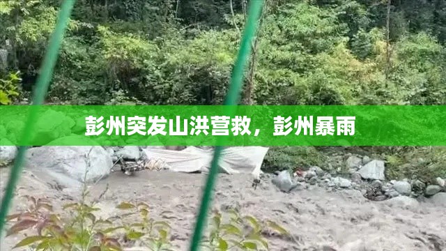 彭州突發(fā)山洪營(yíng)救，彭州暴雨 