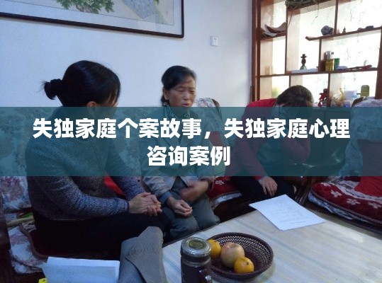 失獨(dú)家庭個案故事，失獨(dú)家庭心理咨詢案例 