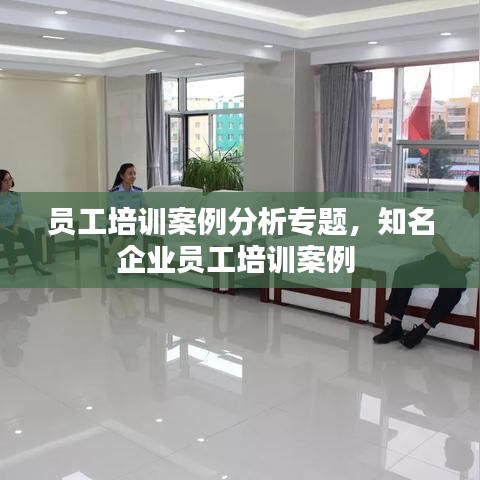 員工培訓(xùn)案例分析專題，知名企業(yè)員工培訓(xùn)案例 