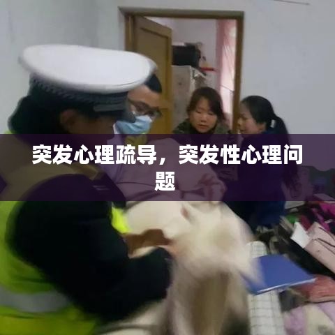 突發(fā)心理疏導(dǎo)，突發(fā)性心理問題 