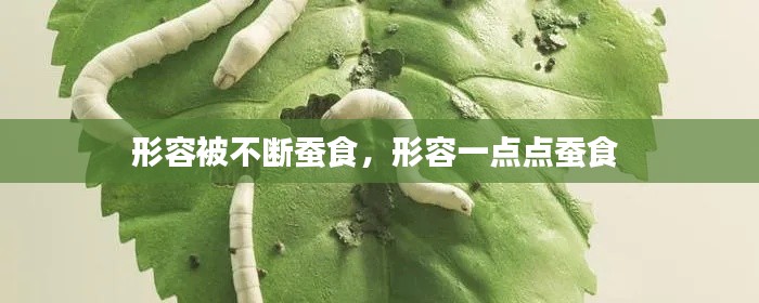 形容被不斷蠶食，形容一點(diǎn)點(diǎn)蠶食 
