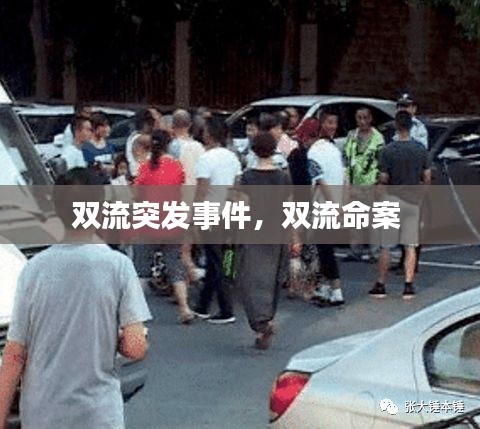 雙流突發(fā)事件，雙流命案 