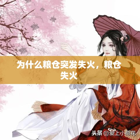 為什么糧倉(cāng)突發(fā)失火，糧倉(cāng) 失火 
