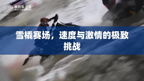 第11頁