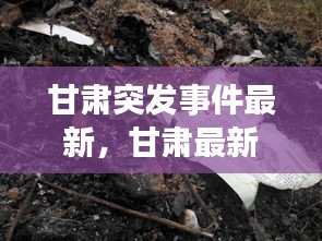 招標(biāo)采購(gòu) 第2頁(yè)