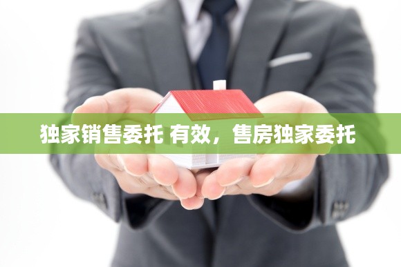 獨(dú)家銷(xiāo)售委托 有效，售房獨(dú)家委托 
