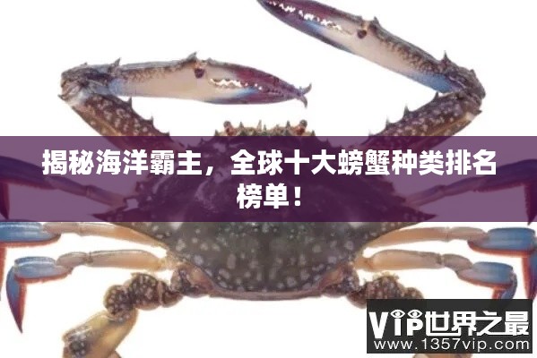 揭秘海洋霸主，全球十大螃蟹種類排名榜單！