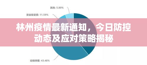 林州疫情最新通知，今日防控動(dòng)態(tài)及應(yīng)對(duì)策略揭秘