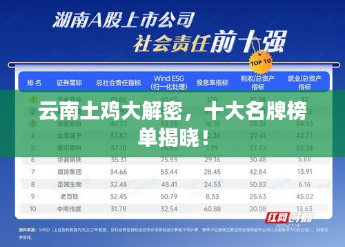 云南土雞大解密，十大名牌榜單揭曉！
