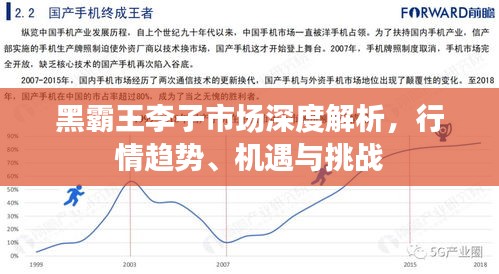 黑霸王李子市場(chǎng)深度解析，行情趨勢(shì)、機(jī)遇與挑戰(zhàn)