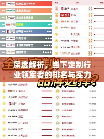 深度解析，當(dāng)下定制行業(yè)領(lǐng)軍者的排名與實(shí)力比拼！