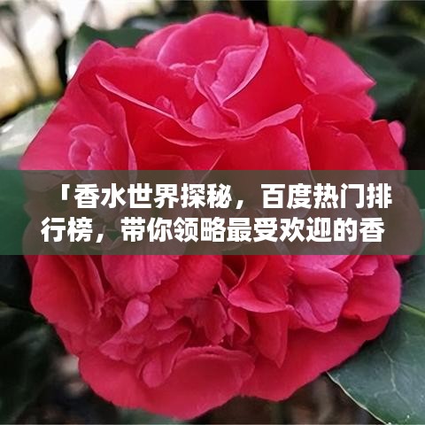 「香水世界探秘，百度熱門排行榜，帶你領(lǐng)略最受歡迎的香水香氣」