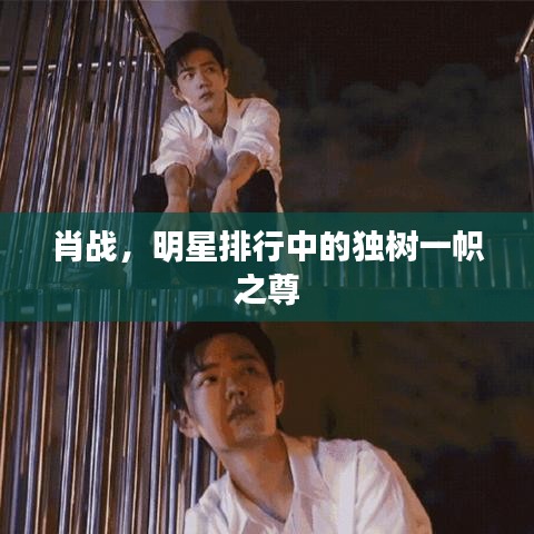 肖戰(zhàn)，明星排行中的獨(dú)樹(shù)一幟之尊