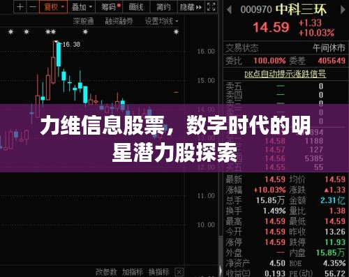 力維信息股票，數(shù)字時(shí)代的明星潛力股探索
