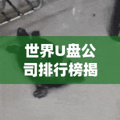 世界U盤公司排行榜揭曉，行業(yè)巨頭一覽無余！