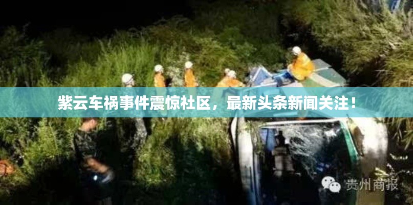 紫云車禍?zhǔn)录痼@社區(qū)，最新頭條新聞關(guān)注！