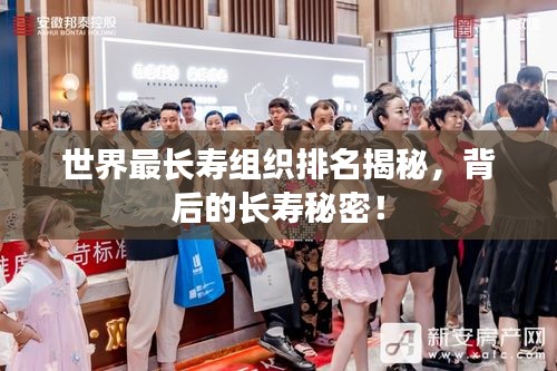 手舞足蹈
