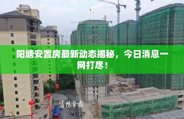 陽(yáng)塘安置房最新動(dòng)態(tài)揭秘，今日消息一網(wǎng)打盡！