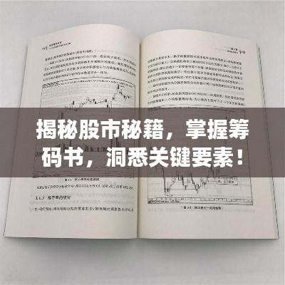 揭秘股市秘籍，掌握籌碼書，洞悉關(guān)鍵要素！