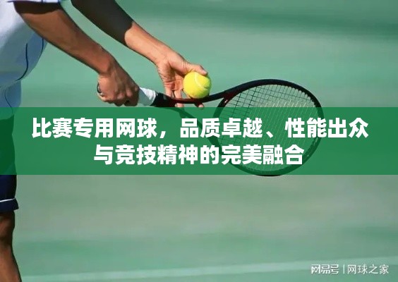 比賽專用網(wǎng)球，品質(zhì)卓越、性能出眾與競技精神的完美融合