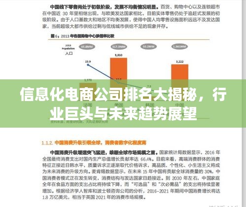 信息化電商公司排名大揭秘，行業(yè)巨頭與未來(lái)趨勢(shì)展望