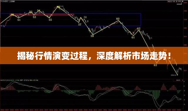 揭秘行情演變過程，深度解析市場走勢！