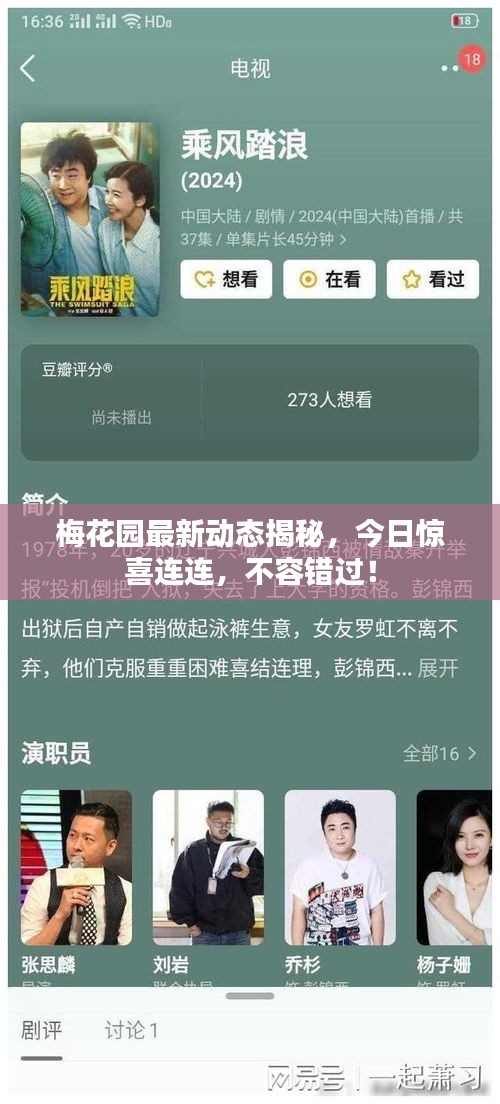 梅花園最新動態(tài)揭秘，今日驚喜連連，不容錯過！
