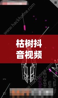 枯樹抖音視頻，探索最新版視頻世界，體驗獨特魅力