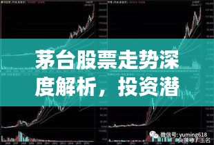 茅臺(tái)股票走勢(shì)深度解析，投資潛力與風(fēng)險(xiǎn)洞察