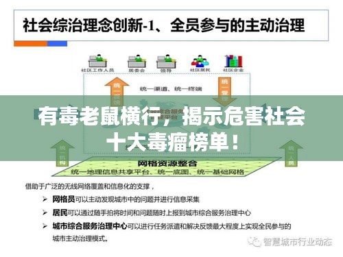 有毒老鼠橫行，揭示危害社會(huì)十大毒瘤榜單！