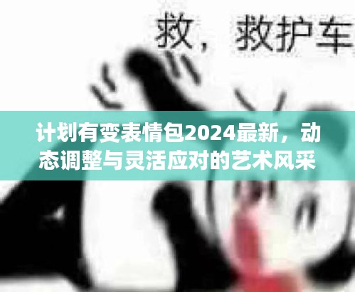 計(jì)劃有變表情包2024最新，動(dòng)態(tài)調(diào)整與靈活應(yīng)對的藝術(shù)風(fēng)采