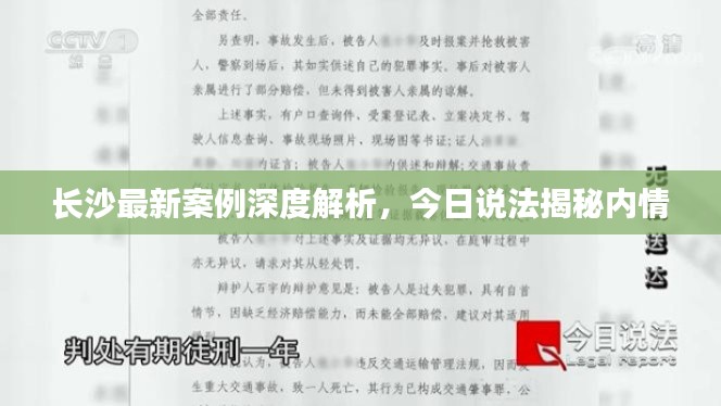 長沙最新案例深度解析，今日說法揭秘內(nèi)情
