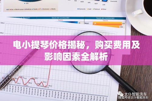 電小提琴價格揭秘，購買費用及影響因素全解析