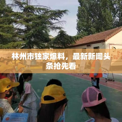 林州市獨(dú)家爆料，最新新聞?lì)^條搶先看