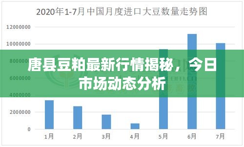 唐縣豆粕最新行情揭秘，今日市場(chǎng)動(dòng)態(tài)分析