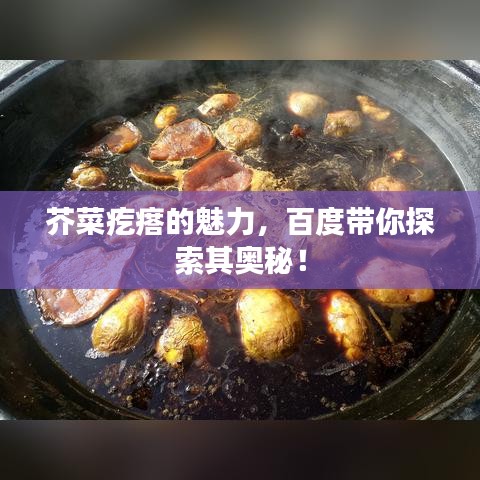 芥菜疙瘩的魅力，百度帶你探索其奧秘！