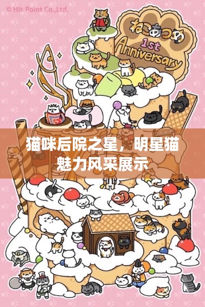 貓咪后院之星，明星貓魅力風(fēng)采展示