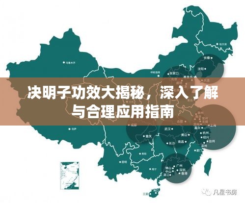 決明子功效大揭秘，深入了解與合理應(yīng)用指南