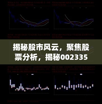 揭秘股市風(fēng)云，聚焦股票分析，揭秘002335股票動態(tài)與前景展望