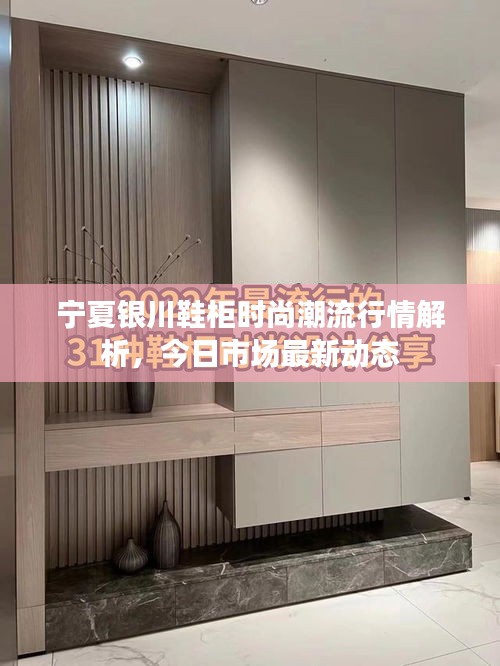 寧夏銀川鞋柜時(shí)尚潮流行情解析，今日市場(chǎng)最新動(dòng)態(tài)