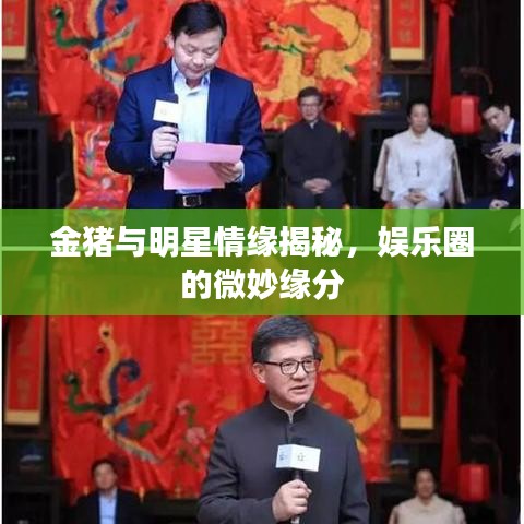 金豬與明星情緣揭秘，娛樂(lè)圈的微妙緣分