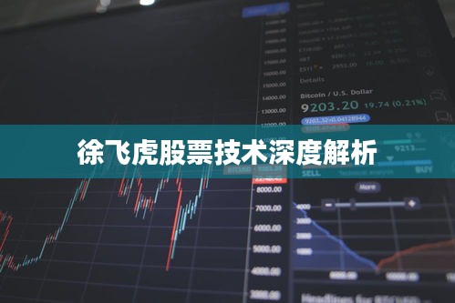 徐飛虎股票技術深度解析