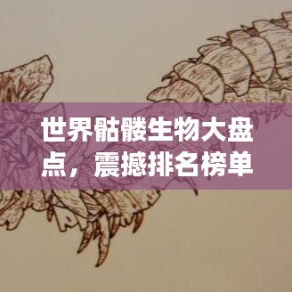 世界骷髏生物大盤(pán)點(diǎn)，震撼排名榜單